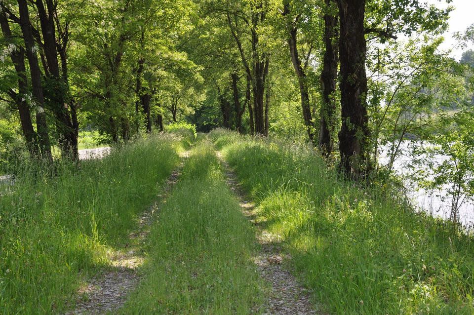 km1-derriere-copiejpg