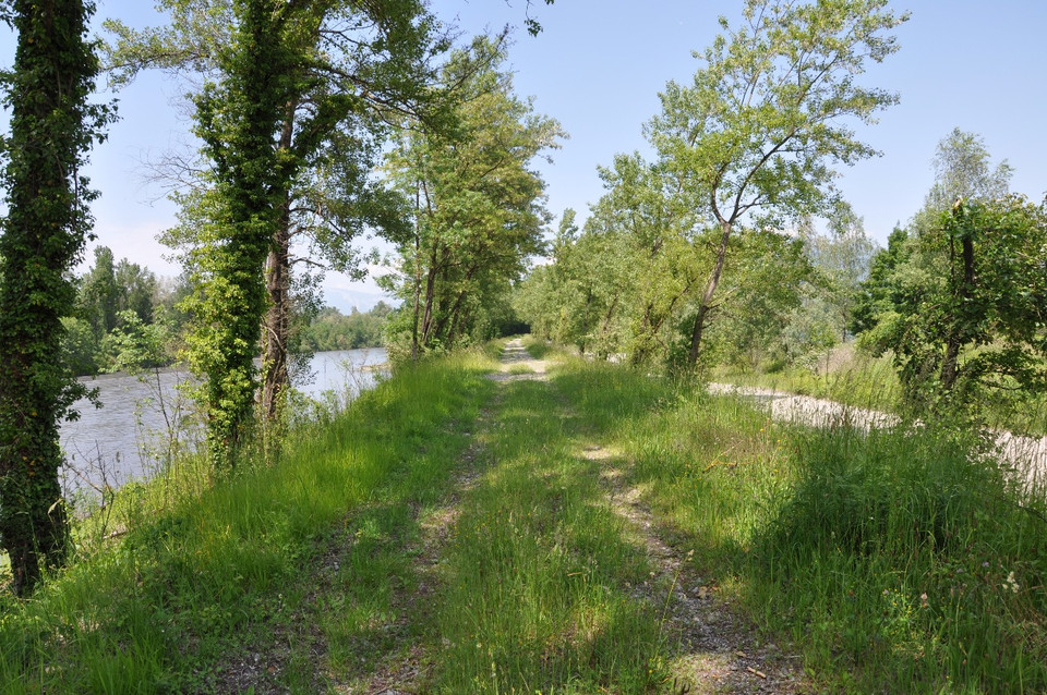 km1-devant-copiejpg