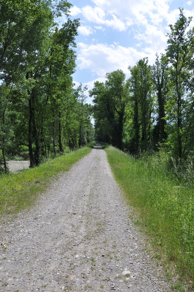 km2-derrierejpg