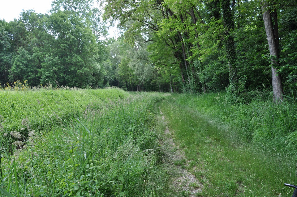 rosiere-km4-derrierejpg