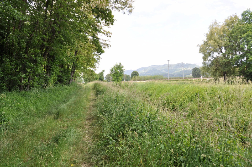 rosiere-km4-devantjpg